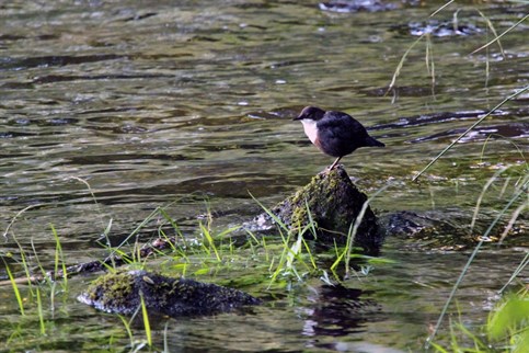 A peaceful haven for wildlife