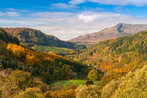 Autumn in Snowdonia near Betws y Coed